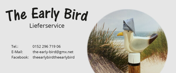 Möwe vor Strandhintergrund