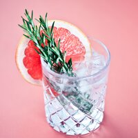 Gin mit einer Scheibe Blutorange und Wacholder auf Eis