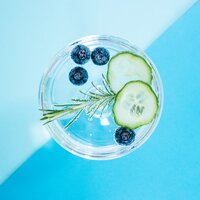 Gin mit Gurke, Heidelbeeren und Rosmarin