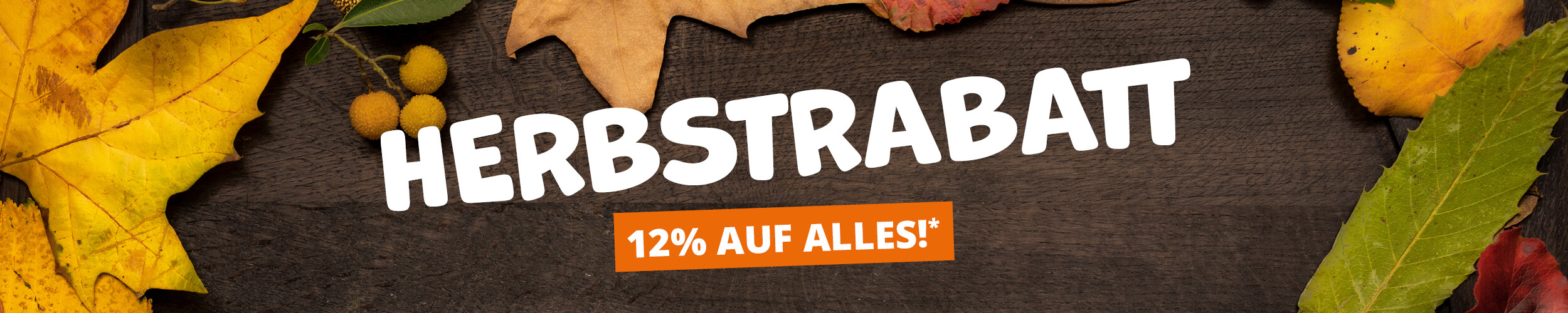 Dunkels Holzbrett, darauf Blätter, in der Mitte weiße Schrift "Herbstrabatt"