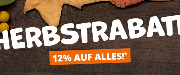 Dunkels Holzbrett, darauf Blätter, in der Mitte weiße Schrift "Herbstrabatt"